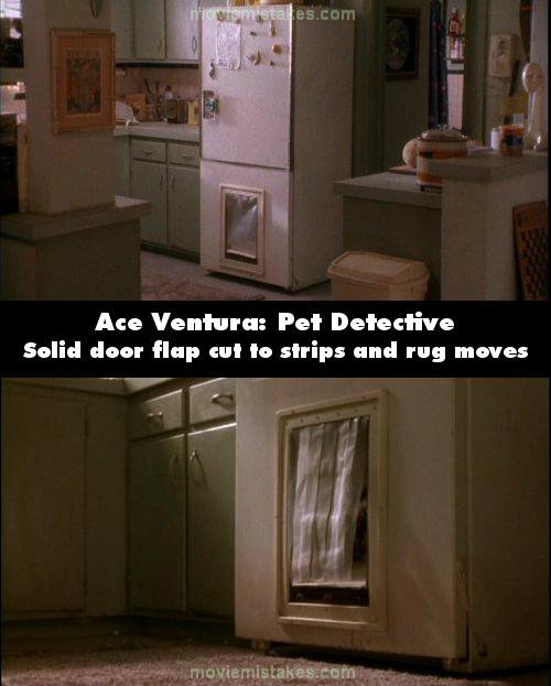 Ace Ventura: Pet Detective picture