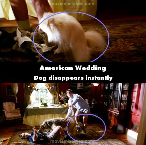 American Wedding picture