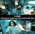 Twilight mistake picture