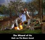 The Wizard of Oz mistake picture