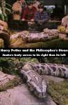 Harry Potter and the Philosopher's Stone mistake picture