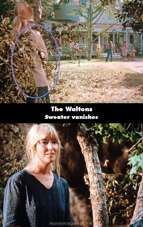 The Waltons picture