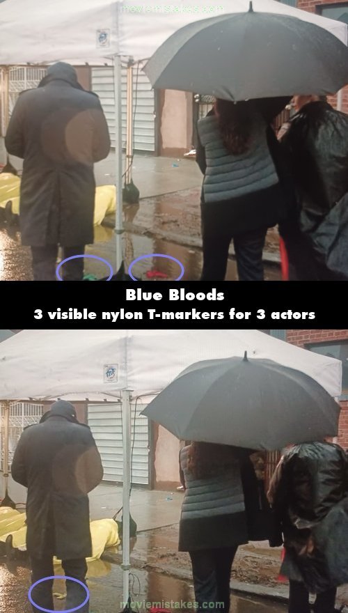 Blue Bloods picture