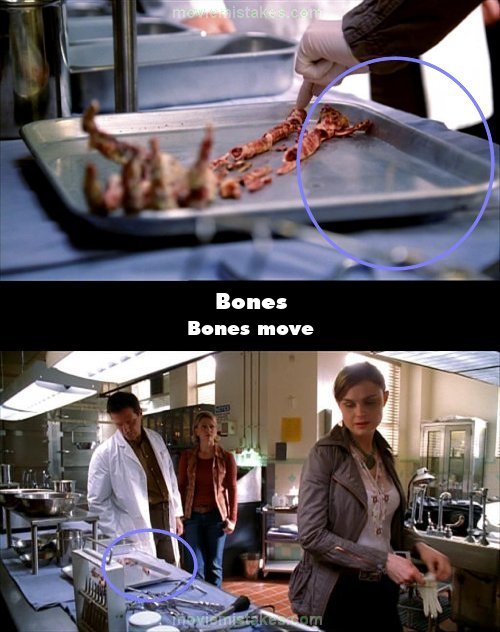 Bones picture