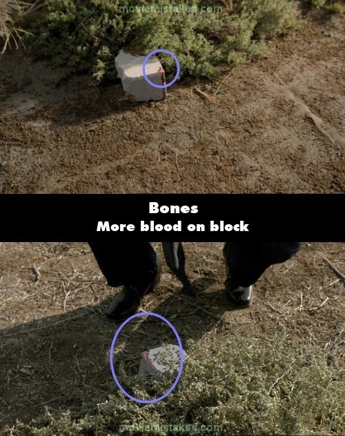 Bones picture