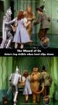 The Wizard of Oz mistake picture