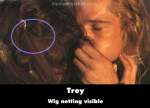 Troy mistake picture