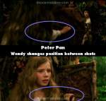 Peter Pan mistake picture