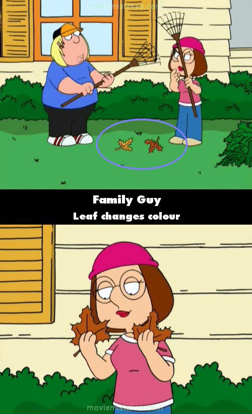 Family Guy picture