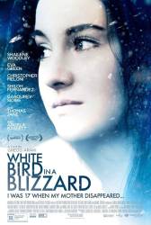 White Bird in a Blizzard picture