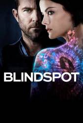 Blindspot picture