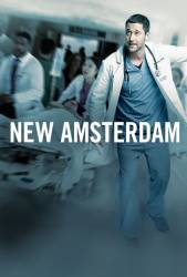 New Amsterdam picture