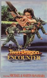 Twin Dragon Encounter picture