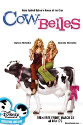 Cow Belles picture